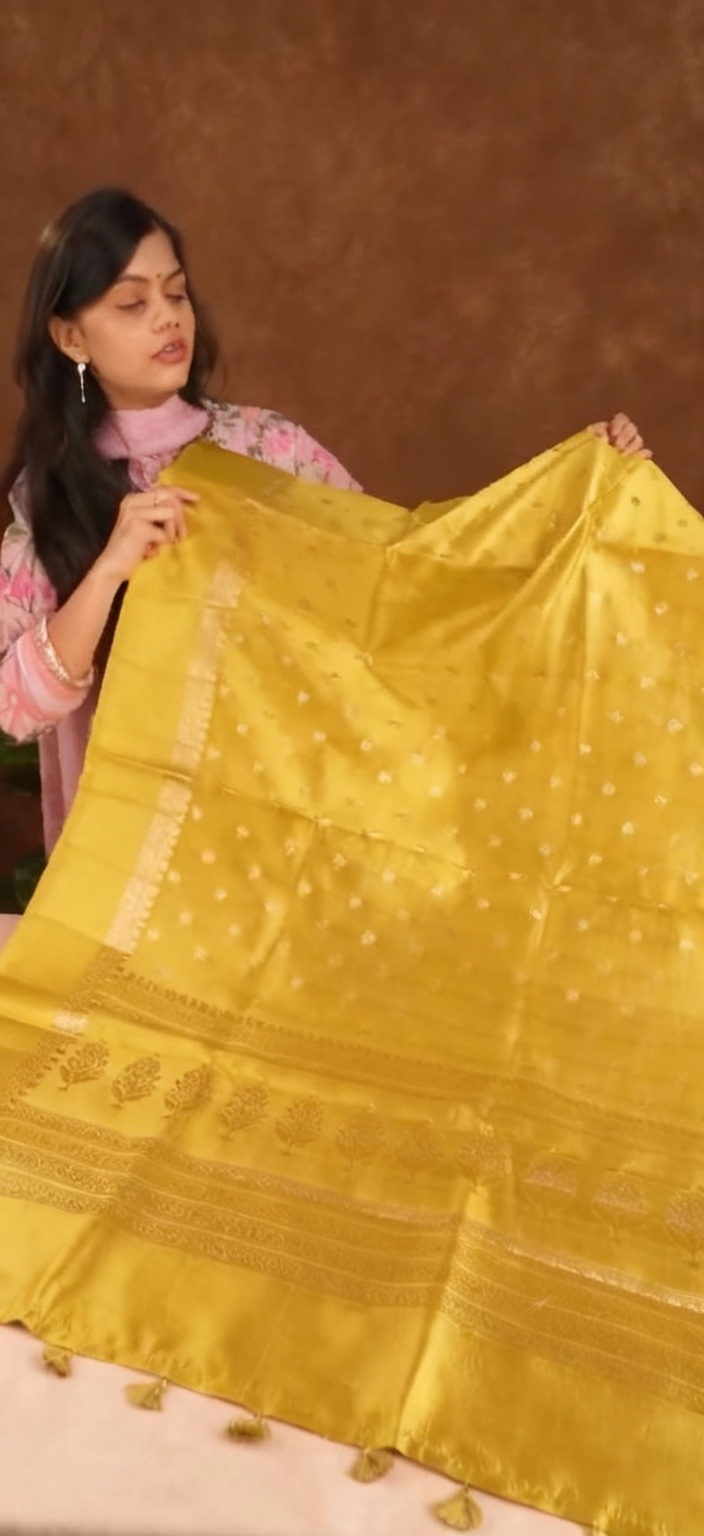 Pasupu Kanthi Silk Saree